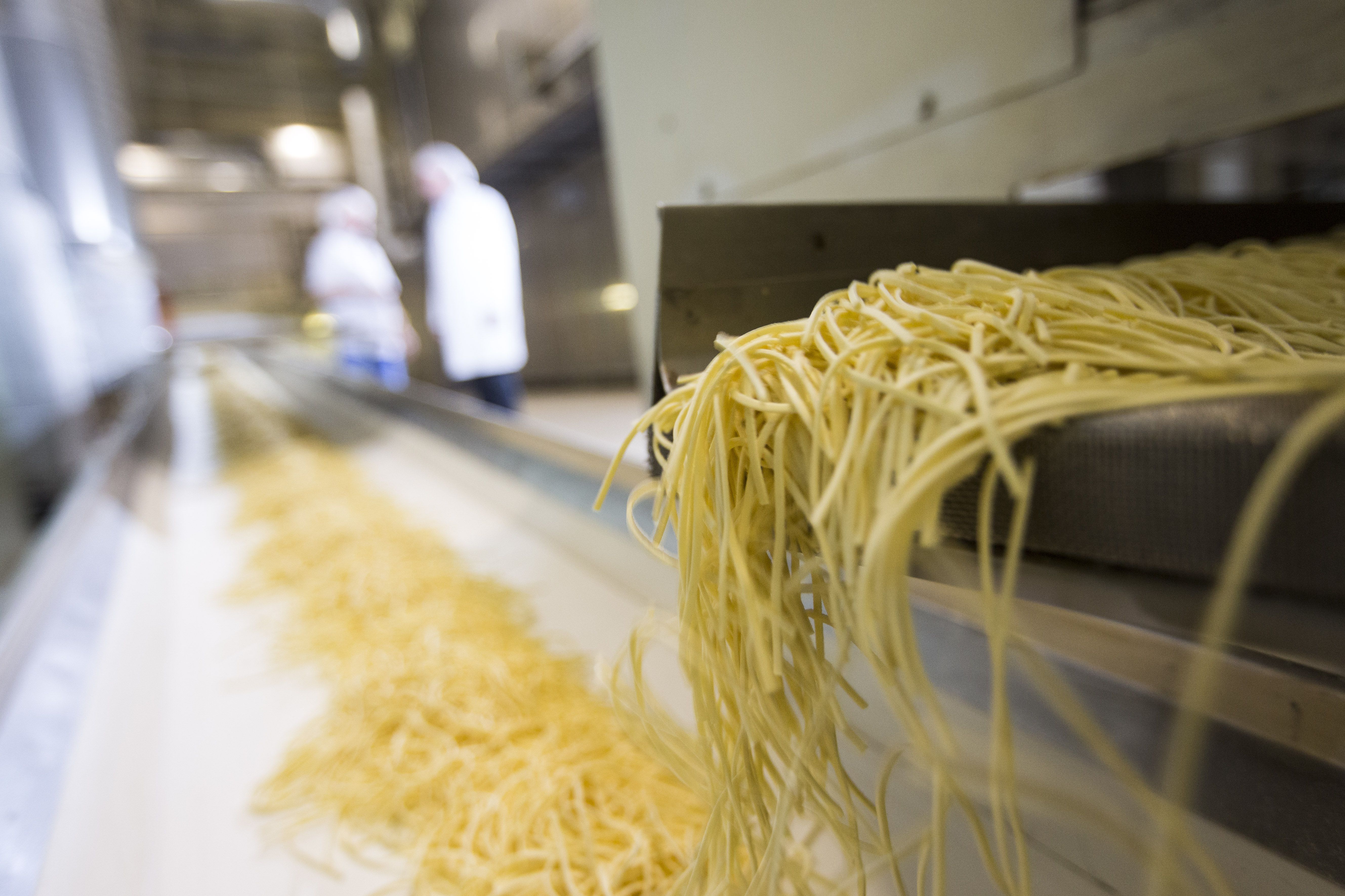 In the long drying lines, the water content is reduced from over 30 % to a maximum of 13 %.
