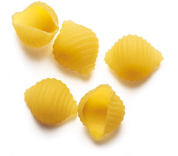 Muscheln (Conchiglie)